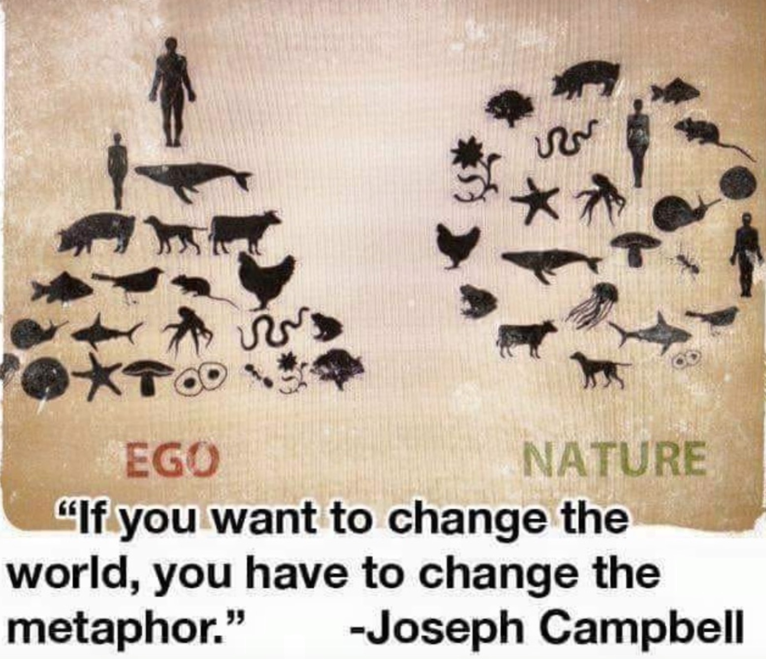 joseph-campbell